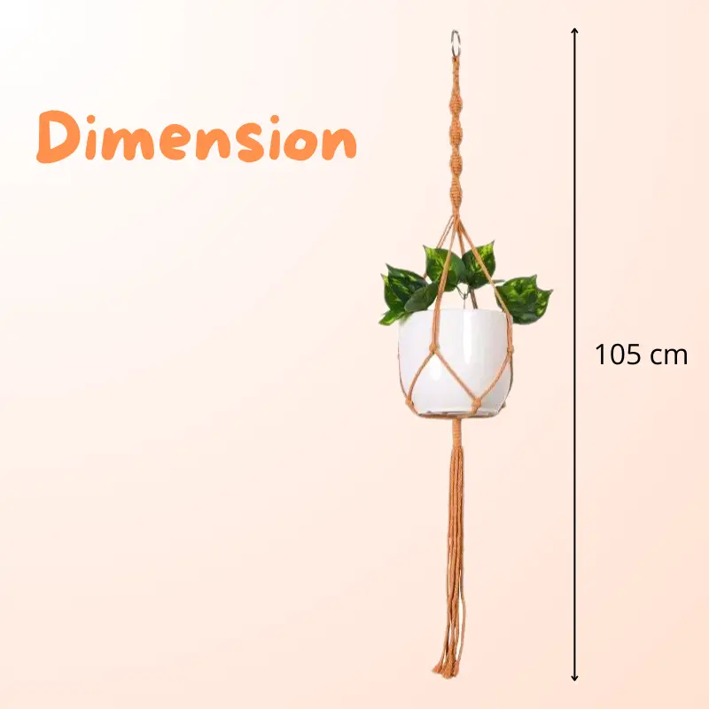 Suspension Plante en Corde – Image 2